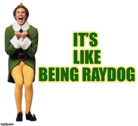 Buddy The Elf | IT’S LIKE BEING RAYDOG | image tagged in buddy the elf | made w/ Imgflip meme maker