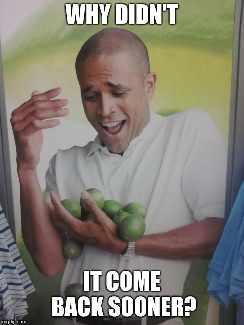 Why Can't I Hold All These Limes Meme | WHY DIDN'T IT COME BACK SOONER? | image tagged in memes,why can't i hold all these limes | made w/ Imgflip meme maker