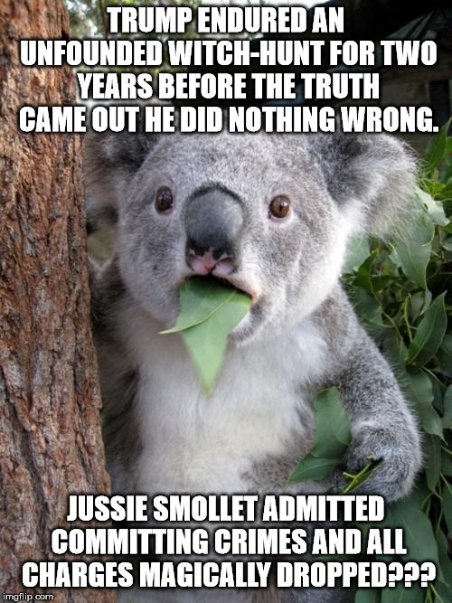 Surprised Koala Meme | TRUMP ENDURED AN UNFOUNDED WITCH-HUNT FOR TWO YEARS BEFORE THE TRUTH CAME OUT HE DID NOTHING WRONG. JUSSIE SMOLLET ADMITTED COMMITTING CRIMES AND ALL CHARGES MAGICALLY DROPPED??? | image tagged in memes,surprised koala,trump russia collusion,jussie smollett | made w/ Imgflip meme maker