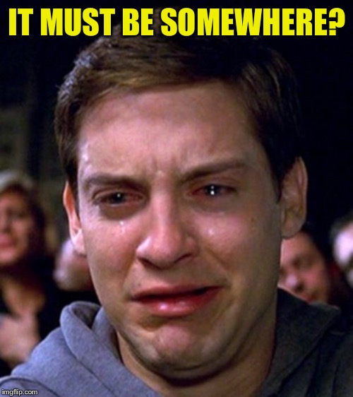 crying peter parker | IT MUST BE SOMEWHERE? | image tagged in crying peter parker | made w/ Imgflip meme maker