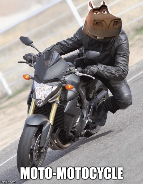 moto motocycle | MOTO-MOTOCYCLE | image tagged in funny memes,funny meme,motorcycle | made w/ Imgflip meme maker