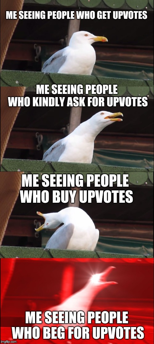 Inhaling Seagull | ME SEEING PEOPLE WHO GET UPVOTES; ME SEEING PEOPLE WHO KINDLY ASK FOR UPVOTES; ME SEEING PEOPLE WHO BUY UPVOTES; ME SEEING PEOPLE WHO BEG FOR UPVOTES | image tagged in memes,inhaling seagull | made w/ Imgflip meme maker