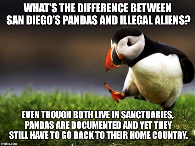 San Diego’s Pandas have to go back but illegal aliens get to stay | WHAT’S THE DIFFERENCE BETWEEN SAN DIEGO’S PANDAS AND ILLEGAL ALIENS? EVEN THOUGH BOTH LIVE IN SANCTUARIES, PANDAS ARE DOCUMENTED AND YET THEY STILL HAVE TO GO BACK TO THEIR HOME COUNTRY. | image tagged in memes,unpopular opinion puffin,san diego,illegal aliens,panda,sanctuary cities | made w/ Imgflip meme maker