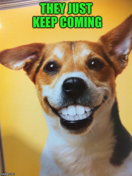 Dog Grinning | THEY JUST KEEP COMING | image tagged in dog grinning | made w/ Imgflip meme maker