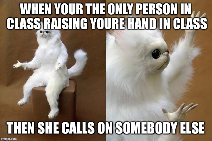 Persian Cat Room Guardian Meme | WHEN YOUR THE ONLY PERSON IN CLASS RAISING YOURE HAND IN CLASS; THEN SHE CALLS ON SOMEBODY ELSE | image tagged in memes,persian cat room guardian | made w/ Imgflip meme maker
