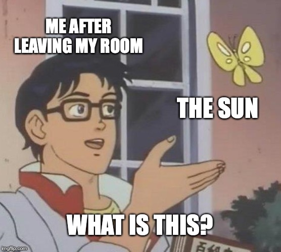 Is This A Pigeon | ME AFTER LEAVING MY ROOM; THE SUN; WHAT IS THIS? | image tagged in memes,is this a pigeon | made w/ Imgflip meme maker