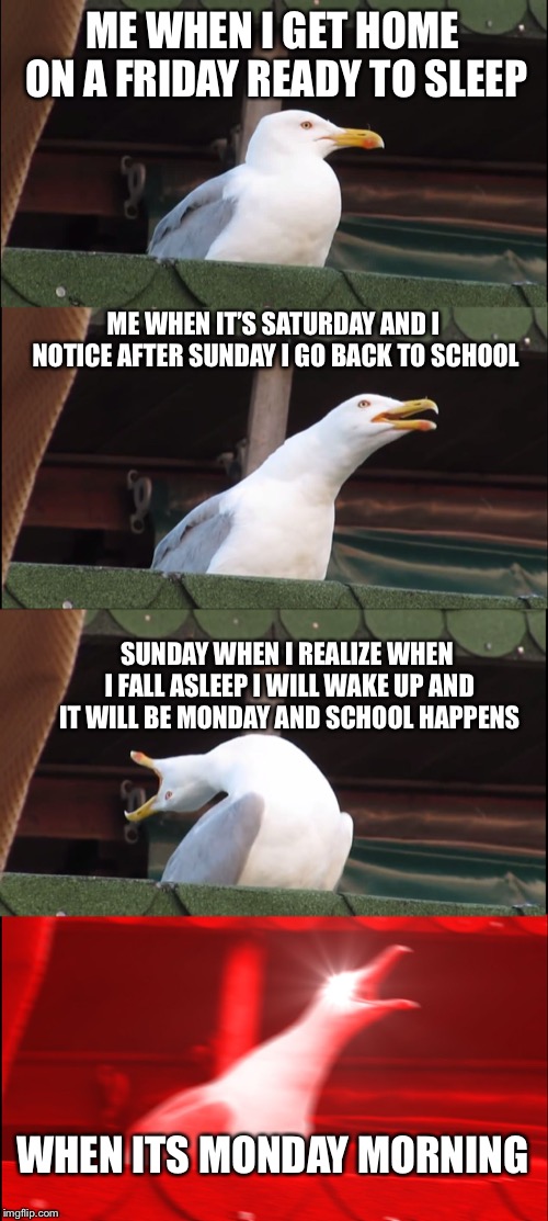 This is pretty much me | ME WHEN I GET HOME ON A FRIDAY READY TO SLEEP; ME WHEN IT’S SATURDAY AND I NOTICE AFTER SUNDAY I GO BACK TO SCHOOL; SUNDAY WHEN I REALIZE WHEN I FALL ASLEEP I WILL WAKE UP AND IT WILL BE MONDAY AND SCHOOL HAPPENS; WHEN ITS MONDAY MORNING | image tagged in memes,inhaling seagull,inhaling bird meme | made w/ Imgflip meme maker