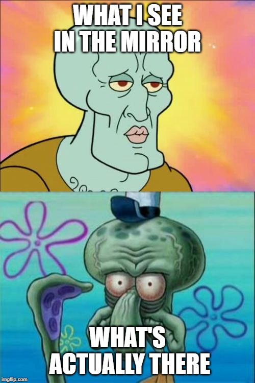 Squidward Meme | WHAT I SEE IN THE MIRROR; WHAT'S ACTUALLY THERE | image tagged in memes,squidward | made w/ Imgflip meme maker
