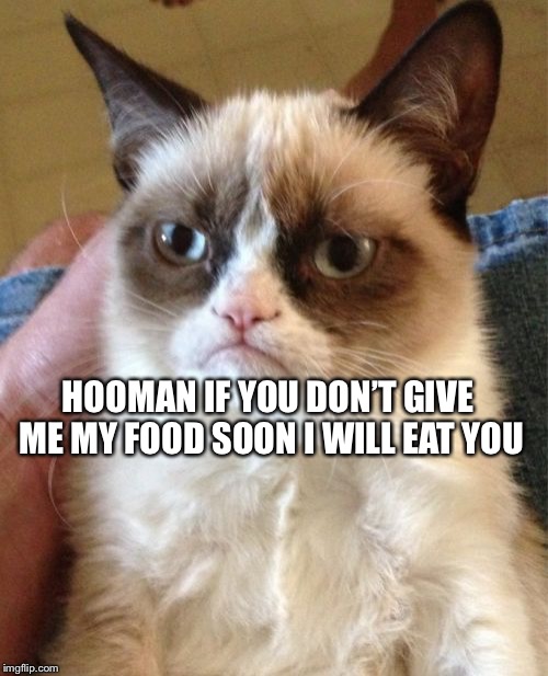 Grumpy Cat | HOOMAN IF YOU DON’T GIVE ME MY FOOD SOON I WILL EAT YOU | image tagged in memes,grumpy cat | made w/ Imgflip meme maker