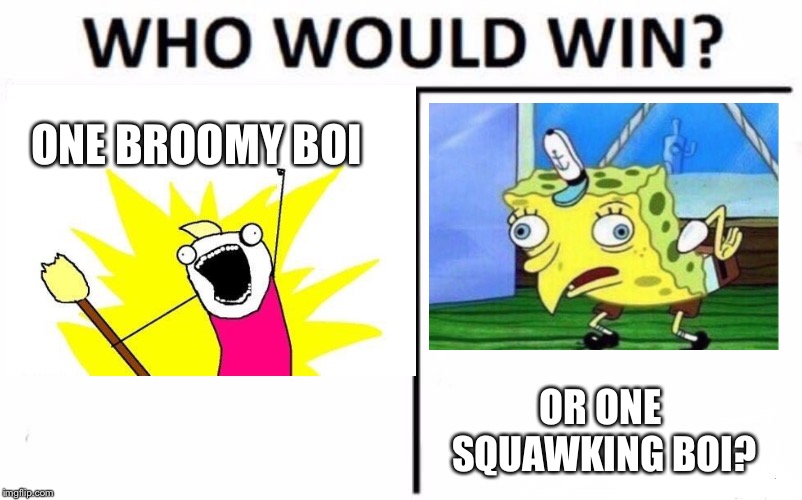 I think broomy boi would win | ONE BROOMY BOI; OR ONE SQUAWKING BOI? | image tagged in who would win | made w/ Imgflip meme maker