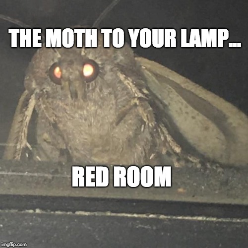 Moth lamp - Imgflip