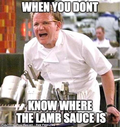 Chef Gordon Ramsay Meme | WHEN YOU DONT; KNOW WHERE THE LAMB SAUCE IS | image tagged in memes,chef gordon ramsay | made w/ Imgflip meme maker