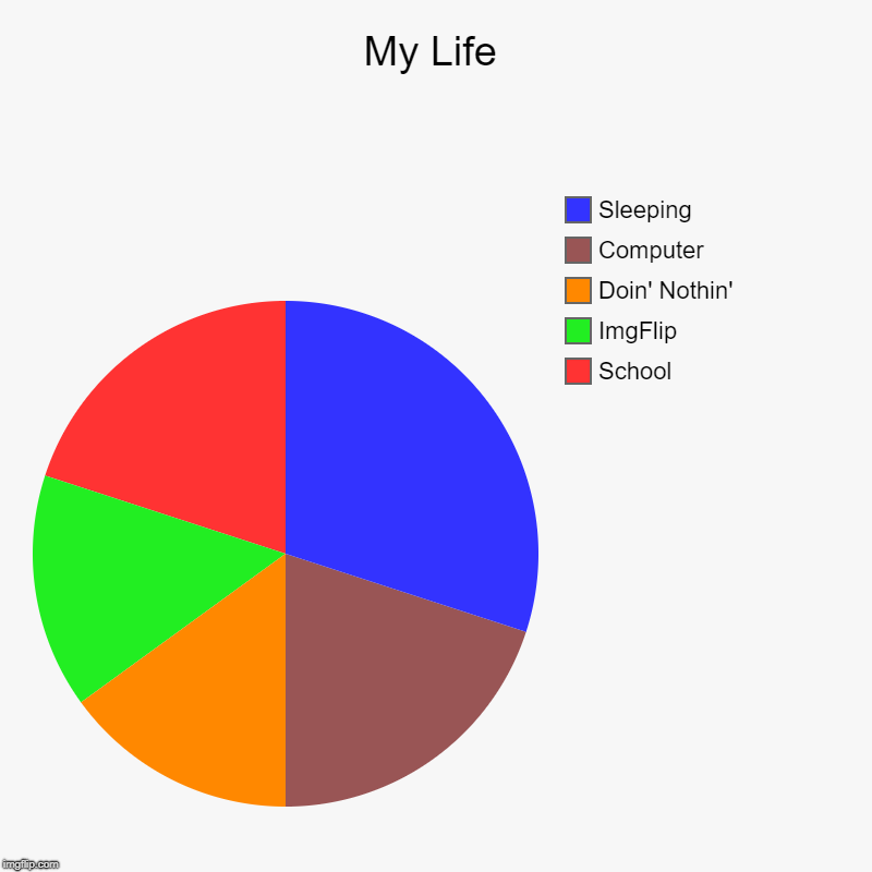 My Life in a Chart | My Life | School, ImgFlip, Doin' Nothin', Computer, Sleeping | image tagged in charts,real life | made w/ Imgflip chart maker