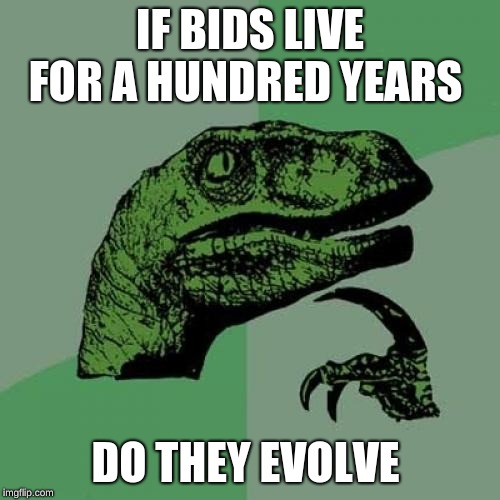 Philosoraptor | IF BIDS LIVE FOR A HUNDRED YEARS; DO THEY EVOLVE | image tagged in memes,philosoraptor | made w/ Imgflip meme maker