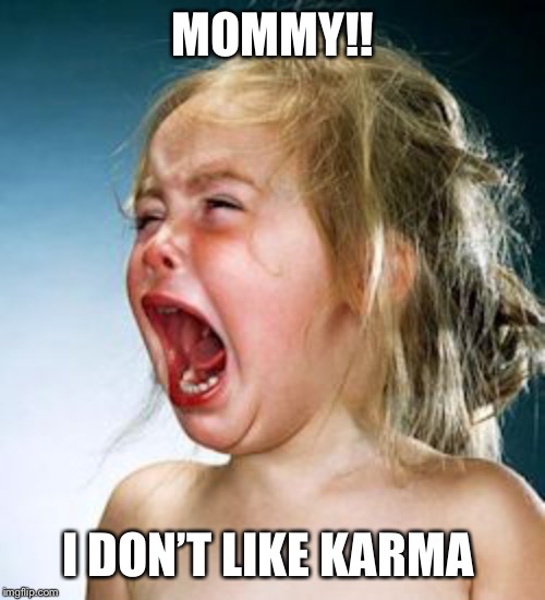 Crybaby GOPer Snowflake | MOMMY!! I DON’T LIKE KARMA | image tagged in crybaby goper snowflake | made w/ Imgflip meme maker