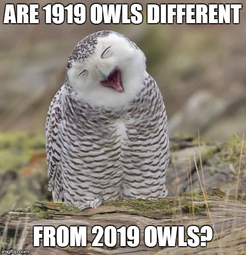 ARE 1919 OWLS DIFFERENT FROM 2019 OWLS? | made w/ Imgflip meme maker