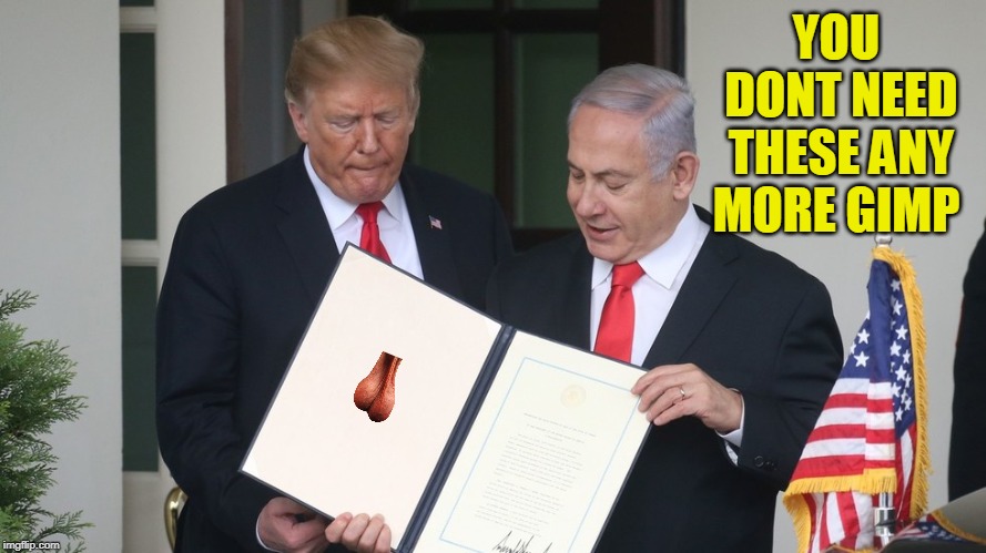 YOU DONT NEED THESE ANY MORE GIMP | image tagged in donald trump,isis,israel | made w/ Imgflip meme maker