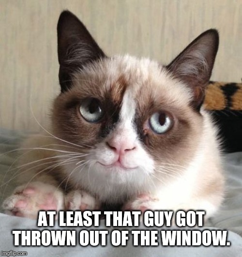 Smiling grumpy cat | AT LEAST THAT GUY GOT THROWN OUT OF THE WINDOW. | image tagged in smiling grumpy cat | made w/ Imgflip meme maker