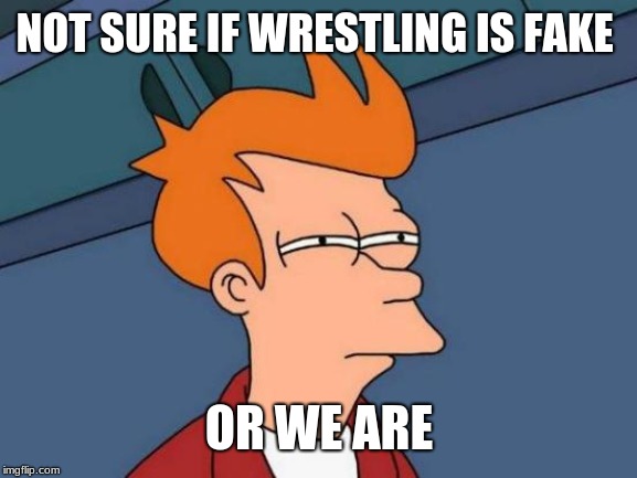 Futurama Fry | NOT SURE IF WRESTLING IS FAKE; OR WE ARE | image tagged in memes,futurama fry | made w/ Imgflip meme maker
