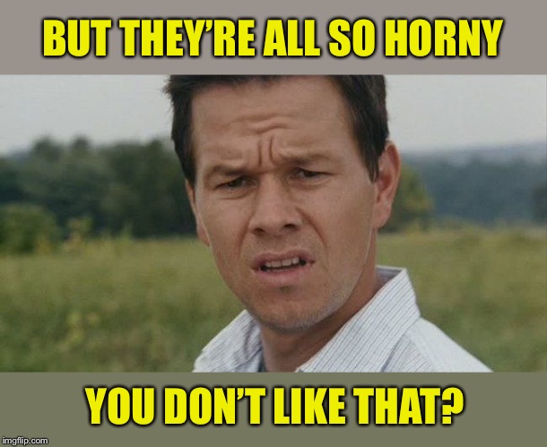 Mark Wahlburg confused | BUT THEY’RE ALL SO HORNY YOU DON’T LIKE THAT? | image tagged in mark wahlburg confused | made w/ Imgflip meme maker