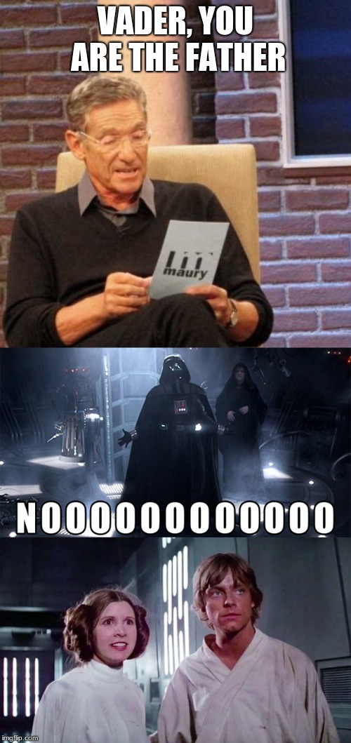 VADER, YOU ARE THE FATHER | image tagged in memes,maury lie detector | made w/ Imgflip meme maker