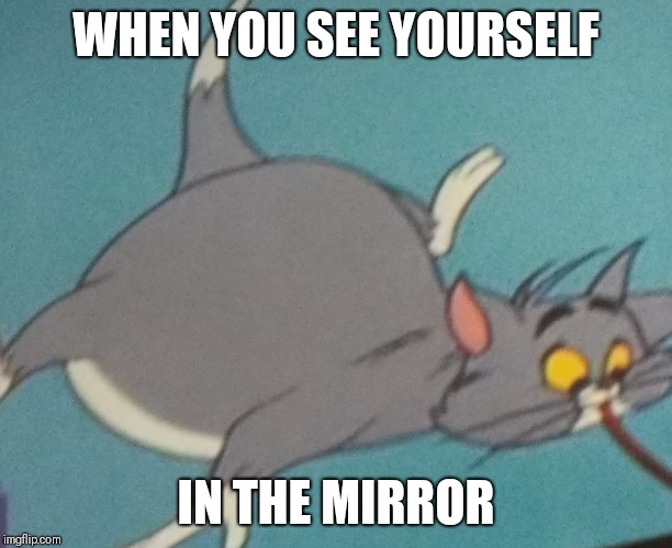 WHEN YOU SEE YOURSELF; IN THE MIRROR | image tagged in when you see yorself in the mirror | made w/ Imgflip meme maker