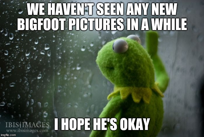 let's hope so | WE HAVEN'T SEEN ANY NEW BIGFOOT PICTURES IN A WHILE; I HOPE HE'S OKAY | image tagged in kermit window | made w/ Imgflip meme maker