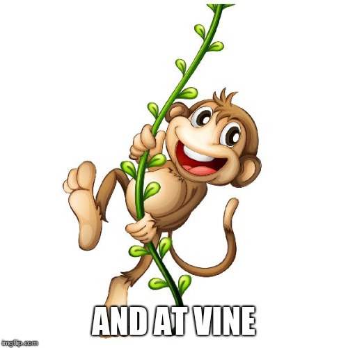 monkey vine | AND AT VINE | image tagged in monkey vine | made w/ Imgflip meme maker