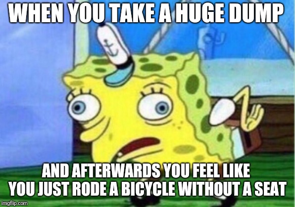 Mocking Spongebob Meme | WHEN YOU TAKE A HUGE DUMP; AND AFTERWARDS YOU FEEL LIKE YOU JUST RODE A BICYCLE WITHOUT A SEAT | image tagged in memes,mocking spongebob | made w/ Imgflip meme maker