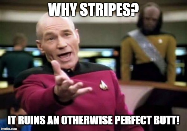 Picard Wtf Meme | WHY STRIPES? IT RUINS AN OTHERWISE PERFECT BUTT! | image tagged in memes,picard wtf | made w/ Imgflip meme maker