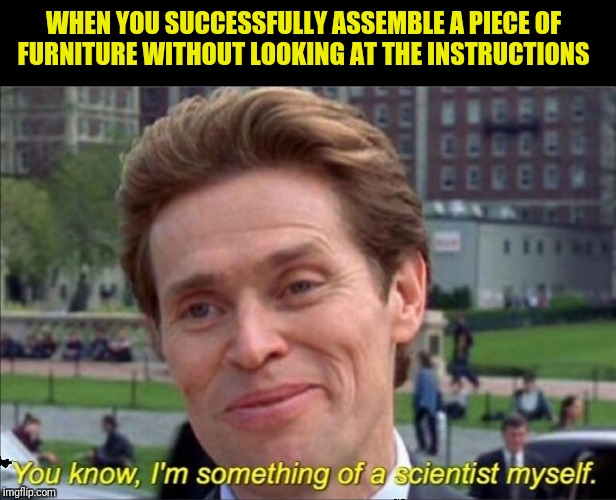 You know, I'm something of a scientist myself | WHEN YOU SUCCESSFULLY ASSEMBLE A PIECE OF FURNITURE WITHOUT LOOKING AT THE INSTRUCTIONS | image tagged in you know i'm something of a scientist myself | made w/ Imgflip meme maker