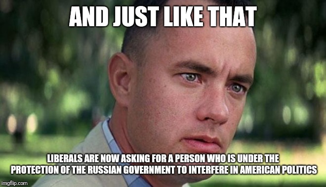 Forest Gump | AND JUST LIKE THAT LIBERALS ARE NOW ASKING FOR A PERSON WHO IS UNDER THE PROTECTION OF THE RUSSIAN GOVERNMENT TO INTERFERE IN AMERICAN POLIT | image tagged in forest gump | made w/ Imgflip meme maker