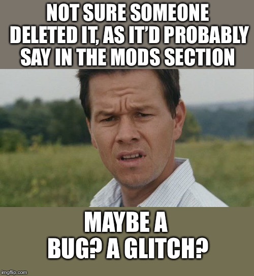 Mark Wahlburg confused | NOT SURE SOMEONE DELETED IT, AS IT’D PROBABLY SAY IN THE MODS SECTION MAYBE A BUG? A GLITCH? | image tagged in mark wahlburg confused | made w/ Imgflip meme maker