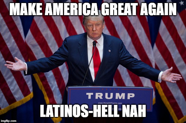 Donald Trump | MAKE AMERICA GREAT AGAIN; LATINOS-HELL NAH | image tagged in donald trump | made w/ Imgflip meme maker