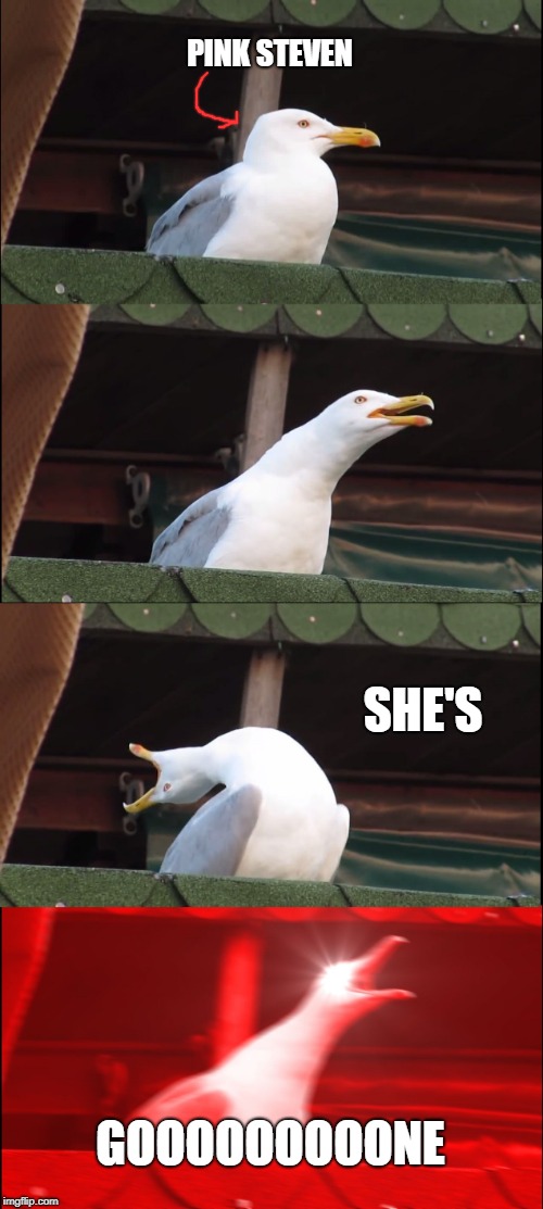 Inhaling Seagull Meme | PINK STEVEN; SHE'S; GOOOOOOOOONE | image tagged in memes,inhaling seagull | made w/ Imgflip meme maker