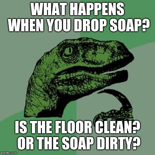 Philosoraptor | WHAT HAPPENS WHEN YOU DROP SOAP? IS THE FLOOR CLEAN? OR THE SOAP DIRTY? | image tagged in memes,philosoraptor | made w/ Imgflip meme maker