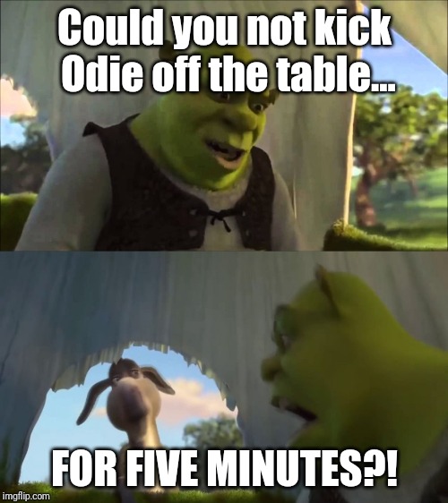 shrek five minutes | Could you not kick Odie off the table... FOR FIVE MINUTES?! | image tagged in shrek five minutes | made w/ Imgflip meme maker