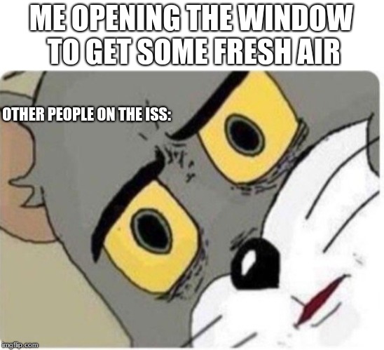 Tom and Jerry meme | ME OPENING THE WINDOW TO GET SOME FRESH AIR; OTHER PEOPLE ON THE ISS: | image tagged in tom and jerry meme | made w/ Imgflip meme maker