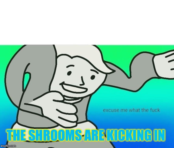 Excuse me, what the fuck | THE SHROOMS ARE KICKING IN | image tagged in excuse me what the fuck | made w/ Imgflip meme maker