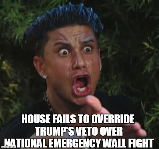 DJ Pauly D Meme | HOUSE FAILS TO OVERRIDE TRUMP'S VETO OVER NATIONAL EMERGENCY WALL FIGHT | image tagged in memes,dj pauly d | made w/ Imgflip meme maker