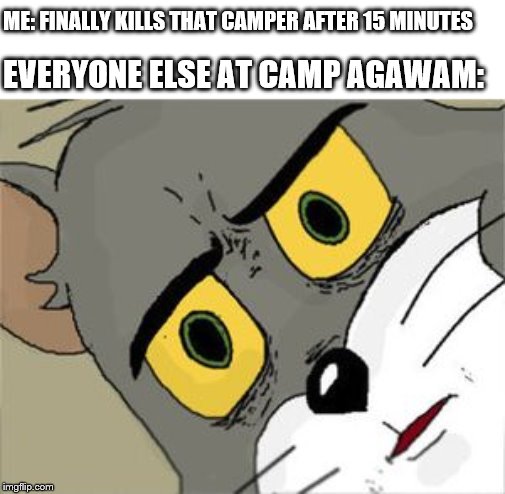 Unsettled Tom | ME: FINALLY KILLS THAT CAMPER AFTER 15 MINUTES; EVERYONE ELSE AT CAMP AGAWAM: | image tagged in unsettled tom | made w/ Imgflip meme maker