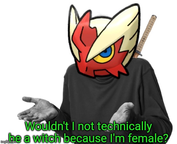 I guess I'll (Blaze the Blaziken) | Wouldn't I not technically be a witch because I'm female? | image tagged in i guess i'll blaze the blaziken | made w/ Imgflip meme maker