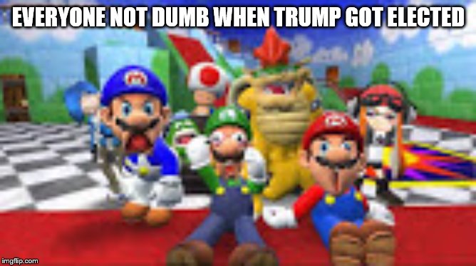 WHAT | EVERYONE NOT DUMB WHEN TRUMP GOT ELECTED | image tagged in what | made w/ Imgflip meme maker