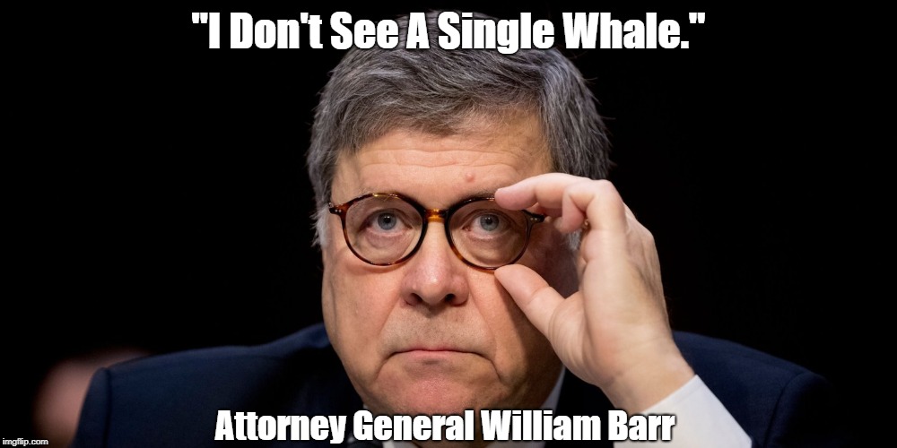 "I Don't See A Single Whale." Attorney General William Barr | made w/ Imgflip meme maker