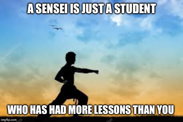 Sensri | A SENSEI IS JUST A STUDENT; WHO HAS HAD MORE LESSONS THAN YOU | image tagged in karate | made w/ Imgflip meme maker