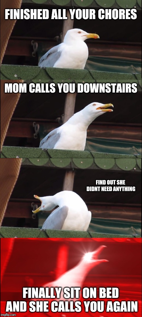 FINISHED ALL YOUR CHORES MOM CALLS YOU DOWNSTAIRS FIND OUT SHE DIDNT NEED ANYTHING FINALLY SIT ON BED AND SHE CALLS YOU AGAIN | image tagged in memes,inhaling seagull | made w/ Imgflip meme maker