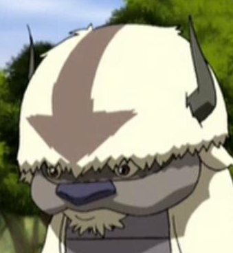 High Quality Appa standing up Blank Meme Template