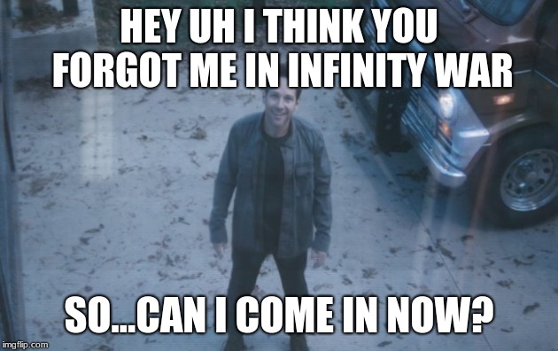 Ant Man (Avengers Endgame) | HEY UH I THINK YOU FORGOT ME IN INFINITY WAR; SO...CAN I COME IN NOW? | image tagged in ant man avengers endgame | made w/ Imgflip meme maker