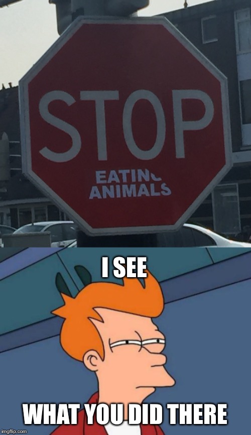 I SEE; WHAT YOU DID THERE | image tagged in memes,futurama fry | made w/ Imgflip meme maker