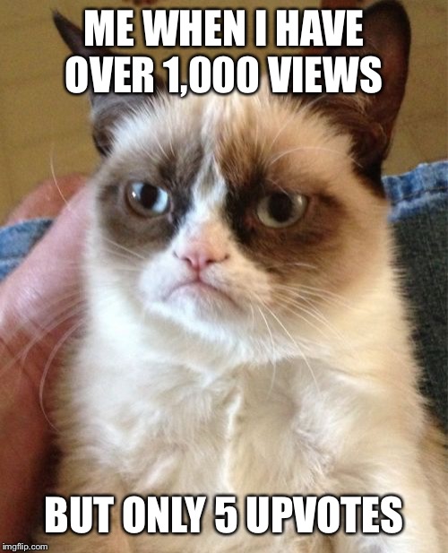 Grumpy Cat Meme | ME WHEN I HAVE OVER 1,000 VIEWS; BUT ONLY 5 UPVOTES | image tagged in memes,grumpy cat | made w/ Imgflip meme maker